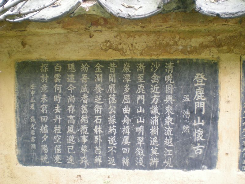 点击在新窗口查看原始图片